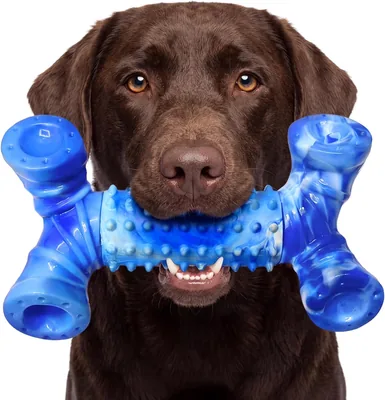 WinTour Tough Dog Toys - Aggressive Chew Resistant