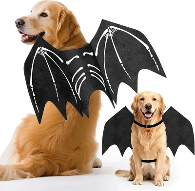OLANRUN Dog Bat Wings Costume - Halloween Pumpkin Skeleton Print