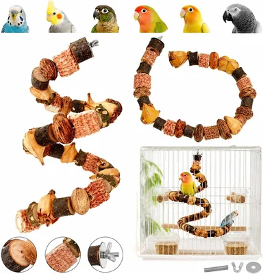 インコ用 天然木 止まり木 スパイラル型 パーチ - かじり、登り、止まる遊びで愛鳥のストレスを解消 | 長さ約50cm | 最安値 - 今すぐ比較して節約