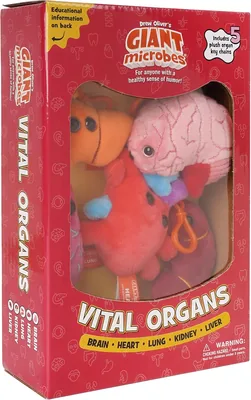 GIANTmicrobes Vital Organs Keychain Gift Box - Brain, Heart, Lung, Kidney & Liver Plush