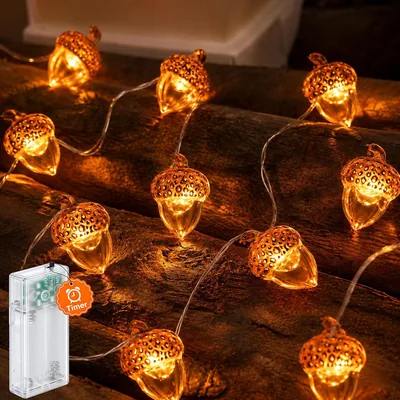 ALEGRE® LED Herbstdekoration Feierlichkeiten mit Timer, 2 m 20 LED Eicheln | Mikrocupperdraht Feierlichkeiten Herbstdekoration