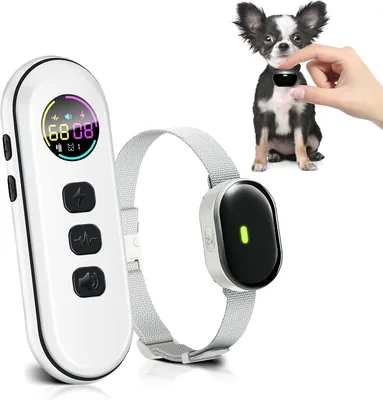 Ultra-Small Dog Shock Collar Best Deal