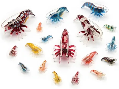 Handmade Freshwater Shrimp Resin Aquarium Figurine Decor - Best Deal