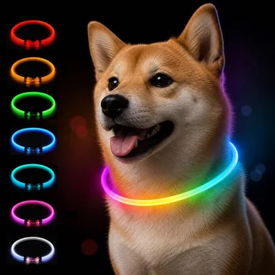 Sazuik 2026登録、犬用首輪、11種類のライトモード、充電式 | 犬用ライト首輪、安全、軽量、視認性
