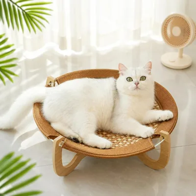 JIVAPAMUの猫ベッド：夏用ハンモック、独立型、通気性あり、木製フレーム（丸型） | 最高の価格で快適な猫生活