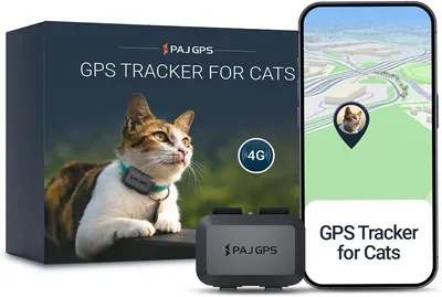 PAJ GPS Tracker Mini & Kollar för Katter - Med 3 Månads Premium Abonnemang | 4G Echtidstracking - Utlösa Alarm - 100% Wa