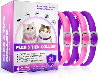 Collar for Cats, 4 Pack Adjustable Waterproof Purple/Pink Cat Collar Best Deal