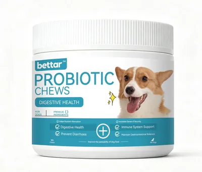 Bettar Probiotic Tablets for Digestive Health - Best Deal