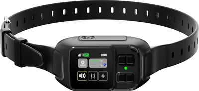Recha GPS Wireless Dog Fence 41% Off