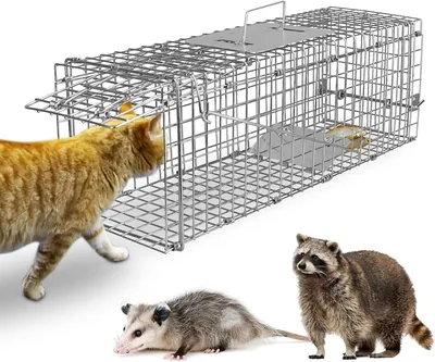 HeGeed 猫トラップ 小動物用 トレッドボード型 保護器 ネズミ罠 迷子猫 流浪猫