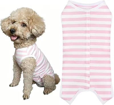 TORPETA Recovery Suit for Dogs & Cats - Best Deal