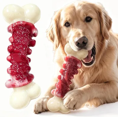Almost Indestructible Chew Dog Toys - Large Dogs