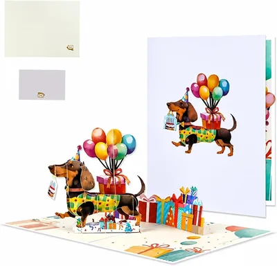 3D Pop Up Dachshund Birthday Card - Best Deal