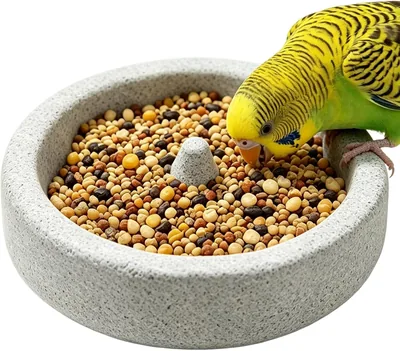 天然軽石 エサ入れ インコ用（15x4cm） - 火山岩飛材料、散り防止。インコ給餌器、つめとクチバシ研ぎ、カルシウム補給の多機能食器 | サンチュードインコ、オウム対応。屋外、バードウォッチング用