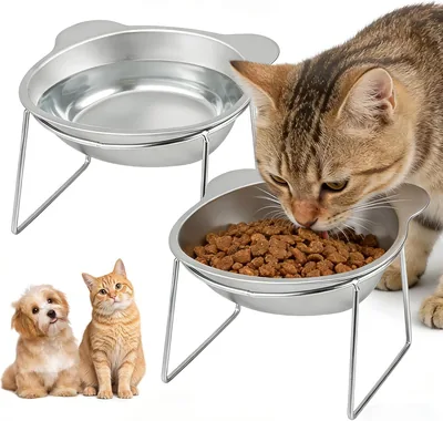 2 Pack Raised Cat Bowls - Stainless Steel Tilted Food Station