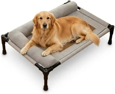 Elevated Dog Bed with Cooling Mesh - Medium & Large Dogs & Cats, Breathable Ventilated Mesh Base, Durable