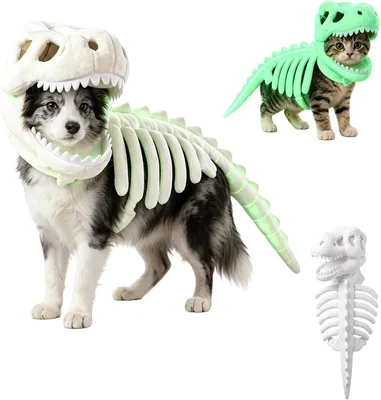 犬用恐竜コスチューム、30cm 発光恐竜骨格コスチューム 猫・犬用 ハロウィーンライト | 軽量 ハロウィーンの犬用