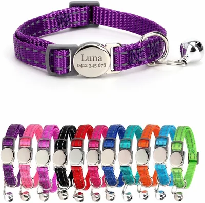 Breakaway Custom Cat Collar - Engraved Name, Bell, Reflective Nylon, Adjustable (20-30cm) Best Deal