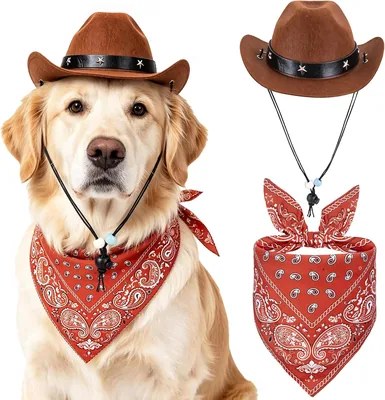 Dog Cowboy Halloween Costume Set XL Brown Star Hat Bandana