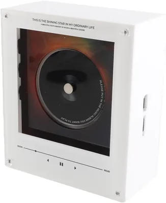 GOWENIC NFC Music Player Fridge Record Player