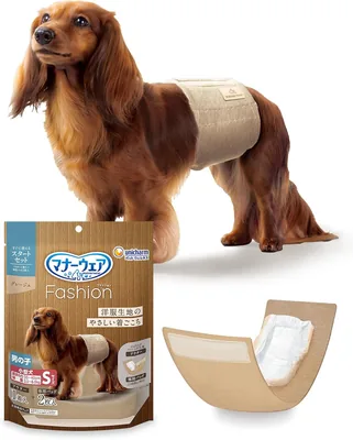 22pt (1%) ペット用高性能カメラ 217,522円 最高価格