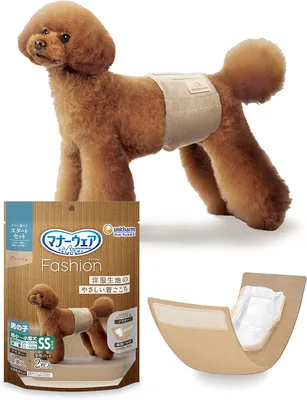 22pt (1%) ペット用高性能カメラ 217,522円 最新モデル