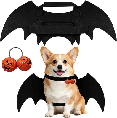 Black Bat Dog Costume - Halloween Pet Outfit