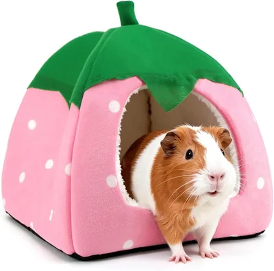 BJuiwsc Casa para Conejos, Cama Portátil con Cojín Lavable