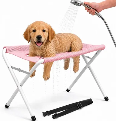 Foldable Dog Bath Station - Best Deal