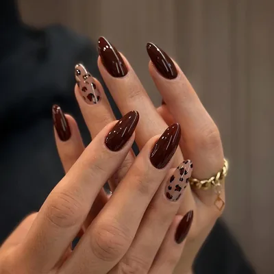 Bryxora Leopard Print Press On Nails - 24 Assorted Colors
