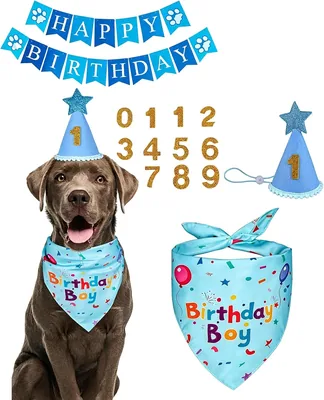 Dog Birthday Party Set - Bandana Hat & Stickers Best Deal