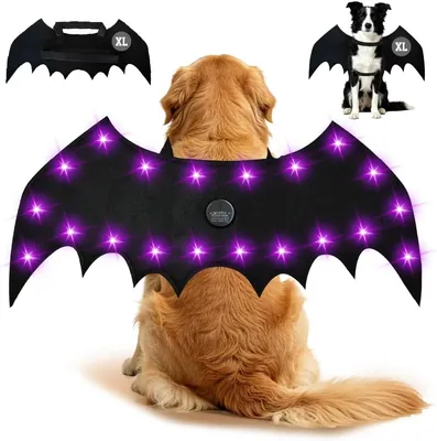 Light Up Dog Bat Wings Costume - 20 LED