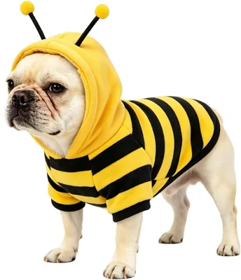 Guangte Bumble Bee Dog Hoodie Costume S