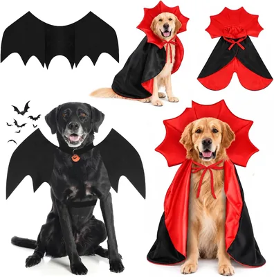 Dog Bat Wings Halloween Cape - 2 Pieces