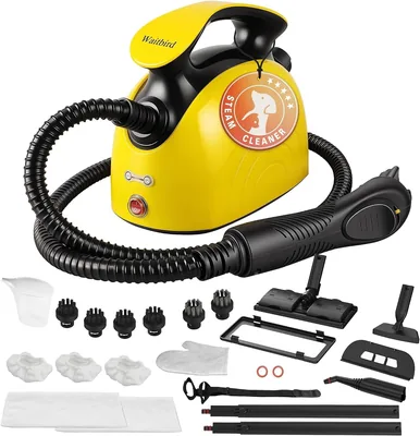 Waitbird Pulitore a Vapore Portatile, 5 Bar, Acqua Calda 320 °F, 2500W | 21 Accessori | Senza Chimici per Pavimenti, Auto, Pareti, Pulizia