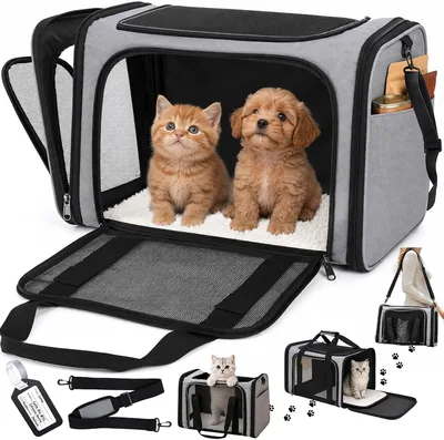 Transportadora para Gato Grande, Plegable, 2 Formas de Llevarla, Mano/Hombro | Placa Identificación y Almacenamiento, Mochila