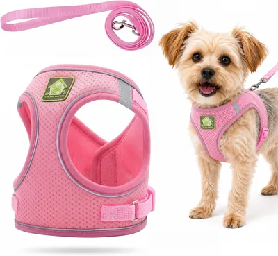 Kkozzikk Pink Step in Cat Harness & Leash Set