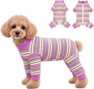 DoggieKit Recovery Suit for Dogs & Cats