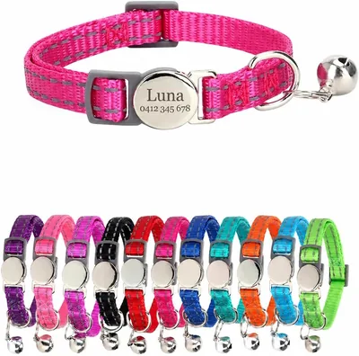 Breakaway Cat Collar - Engraved Name, Bell, Reflective Nylon