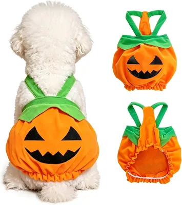 Dog Cat Pumpkin Halloween Costume - Small Plush