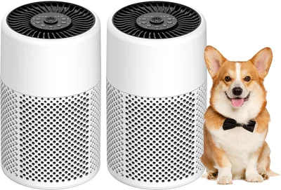 CHIVALZ Air Purifier 67% Off - Bedroom HEPA Cleaner