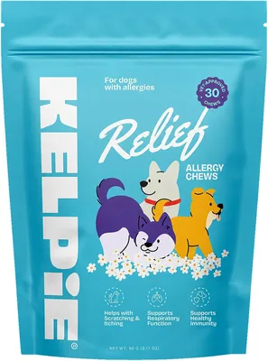 Kelpie Allergy Support Chews Dog Treats - 30 Count