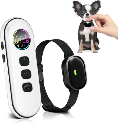 Ultra-Small Dog Shock Collar Best Deal