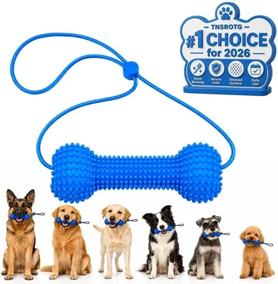 Dog Toothbrush Helper Pet Teeth Cleaning Dental Chew Toy - Best Deal