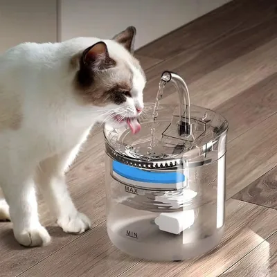 Pet Water Fountain 1.8L Automatic Drinking Dispenser
