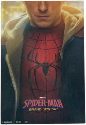 Small Planet Marvel Spider-Man Poster Art