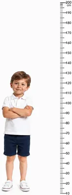 2M Height Chart - Transparent Kids Measurement