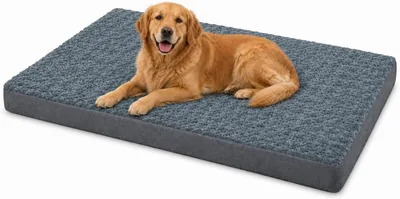 Orthopedic Waterproof Dog Bed XL Senior Large Dogs
