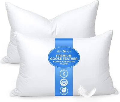 Zibroges Goose Feather Pillow Queen Size Pack of 2 - Best Deal
