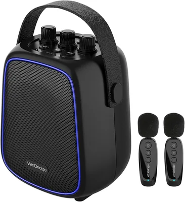 Voice Amplifier with 2 Wireless Lavalier Mics, 36W Portable PA System | for Teachers, Trainers & Pre